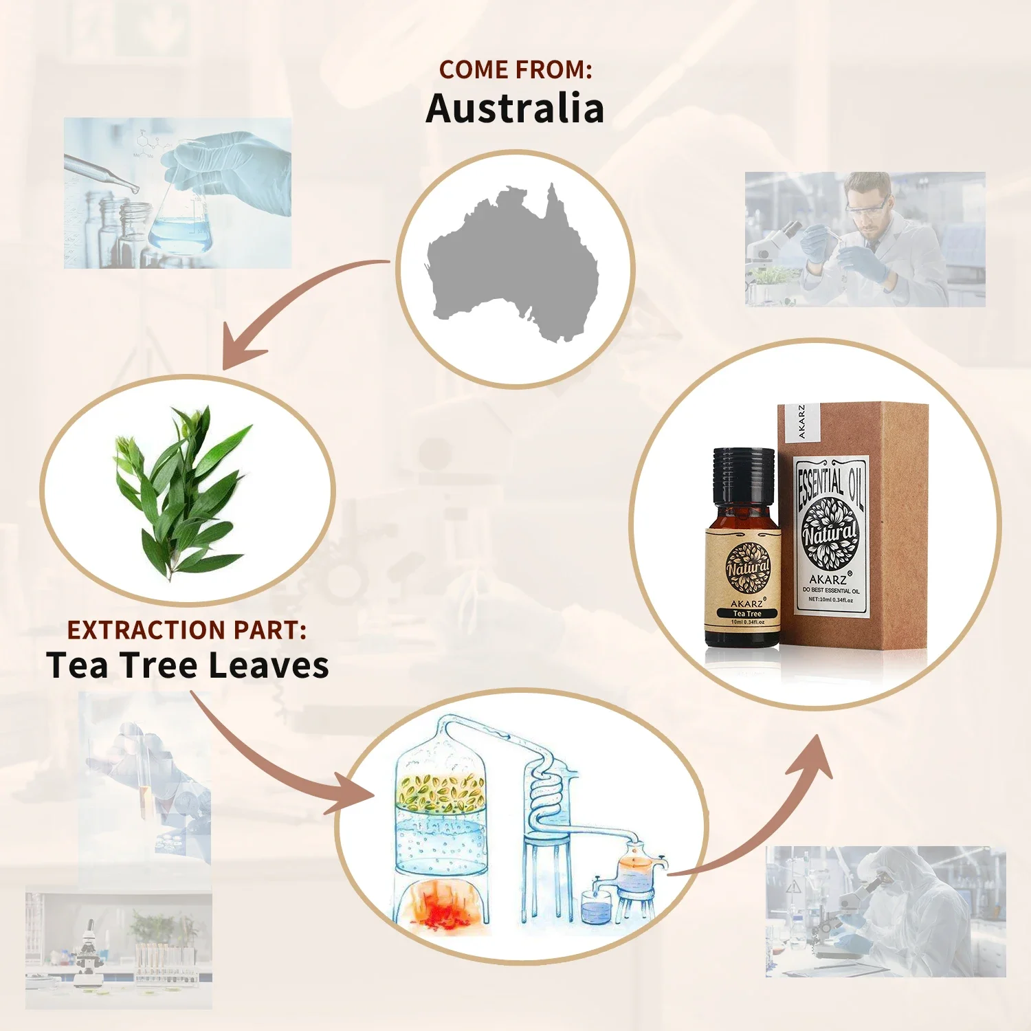 AKARZ Rosemary Essential Oil N - Soap Making Ingredients 评论和价格